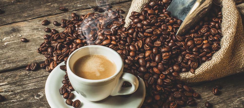Differenze tra Arabica e Robusta: caratteristiche delle due specie di caffè più conosciute